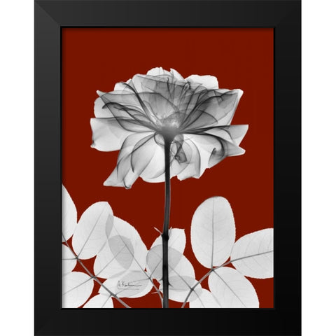 Rose 28 Black Modern Wood Framed Art Print by Koetsier, Albert