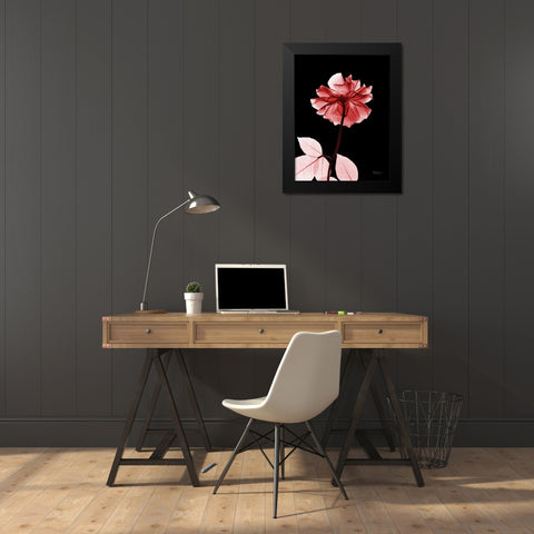 Rose 29 Black Modern Wood Framed Art Print by Koetsier, Albert