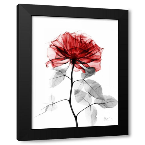 Rose 32 Black Modern Wood Framed Art Print with Double Matting by Koetsier, Albert