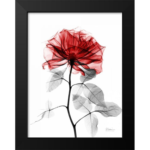 Rose 32 Black Modern Wood Framed Art Print by Koetsier, Albert