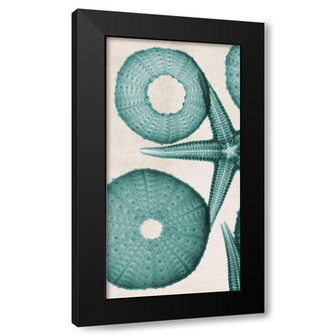 under The Sea 2 Black Modern Wood Framed Art Print with Double Matting by Koetsier, Albert