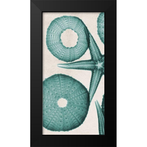 under The Sea 2 Black Modern Wood Framed Art Print by Koetsier, Albert