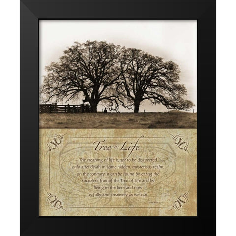 Costa Country Black Modern Wood Framed Art Print by Koetsier, Albert