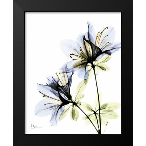 Azalea Duo Black Modern Wood Framed Art Print by Koetsier, Albert