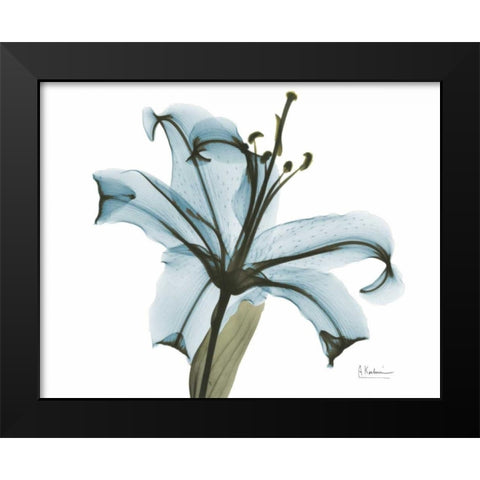 Teal Lily Black Modern Wood Framed Art Print by Koetsier, Albert