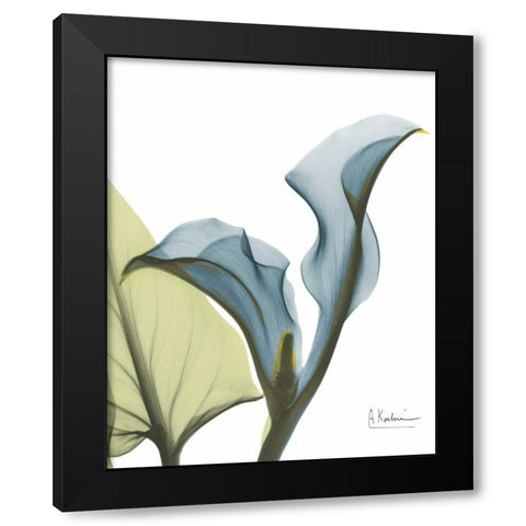 Calla Blues Black Modern Wood Framed Art Print with Double Matting by Koetsier, Albert