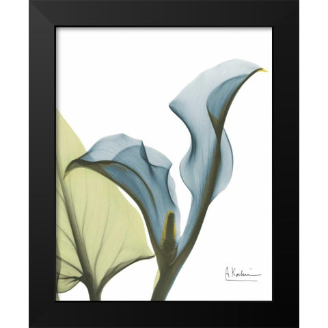 Calla Blues Black Modern Wood Framed Art Print by Koetsier, Albert