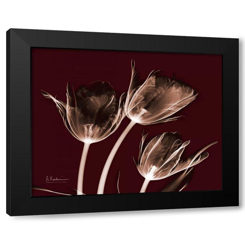 Crimson Tulips Black Modern Wood Framed Art Print with Double Matting by Koetsier, Albert