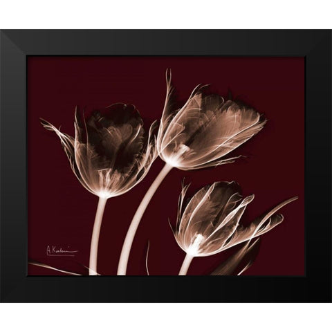 Crimson Tulips Black Modern Wood Framed Art Print by Koetsier, Albert