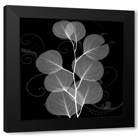 Eucalyptus E196 Black Modern Wood Framed Art Print with Double Matting by Koetsier, Albert