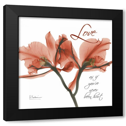 Royal Red Orchid - Love Black Modern Wood Framed Art Print with Double Matting by Koetsier, Albert