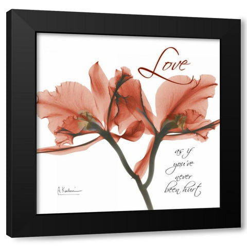 Royal Red Orchid - Love Black Modern Wood Framed Art Print by Koetsier, Albert