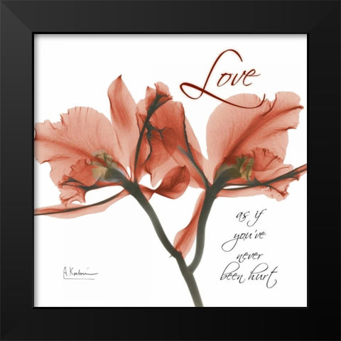 Royal Red Orchid - Love Black Modern Wood Framed Art Print by Koetsier, Albert