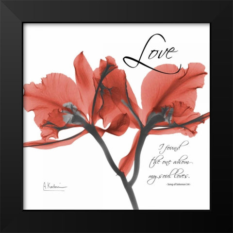 Royal Red Orchid - Love Again Black Modern Wood Framed Art Print by Koetsier, Albert