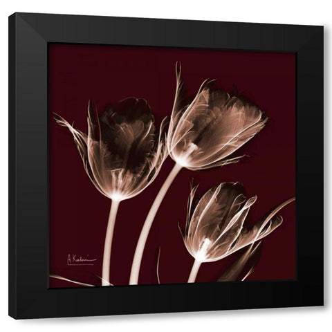 Tabitha Tulip Trio Black Modern Wood Framed Art Print with Double Matting by Koetsier, Albert