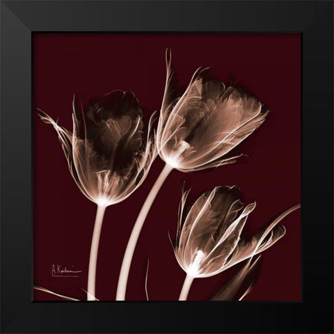 Tabitha Tulip Trio Black Modern Wood Framed Art Print by Koetsier, Albert