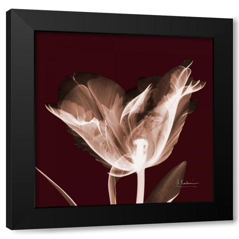 Tabitha Tulip Single Black Modern Wood Framed Art Print with Double Matting by Koetsier, Albert