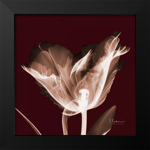 Tabitha Tulip Single Black Modern Wood Framed Art Print by Koetsier, Albert