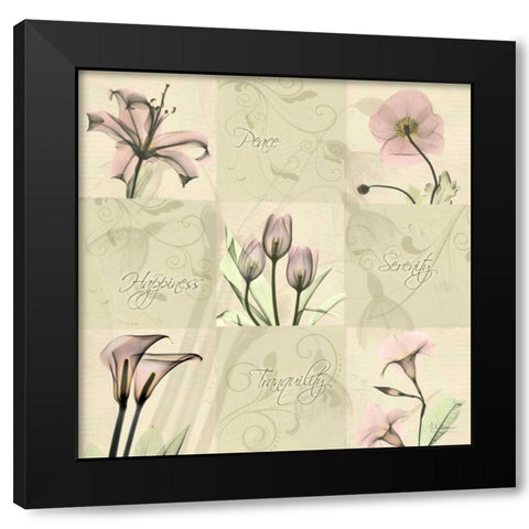 Spring Squares 1 Black Modern Wood Framed Art Print by Koetsier, Albert