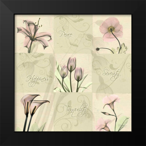 Spring Squares 1 Black Modern Wood Framed Art Print by Koetsier, Albert