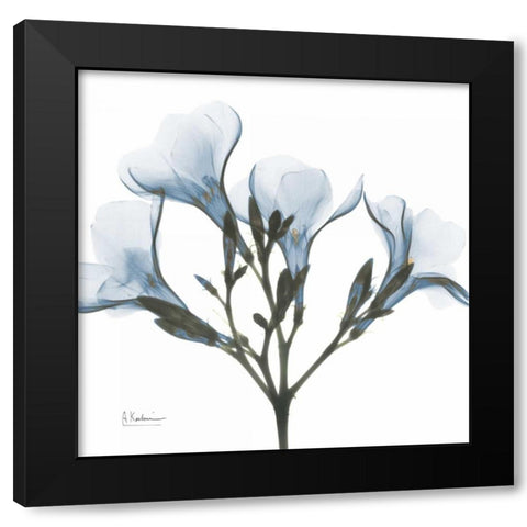 May Flowers Black Modern Wood Framed Art Print by Koetsier, Albert