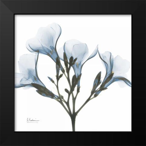 May Flowers Black Modern Wood Framed Art Print by Koetsier, Albert