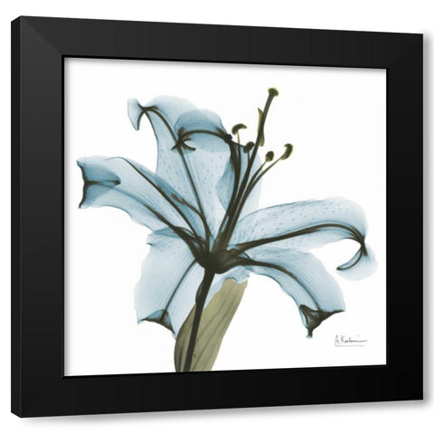 May Lily Black Modern Wood Framed Art Print with Double Matting by Koetsier, Albert