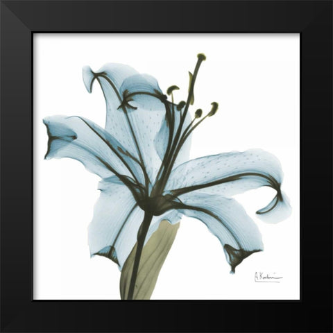 May Lily Black Modern Wood Framed Art Print by Koetsier, Albert