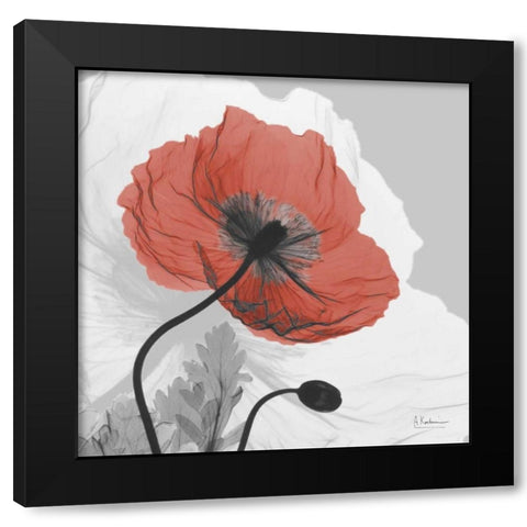 Poppy Prince Black Modern Wood Framed Art Print by Koetsier, Albert