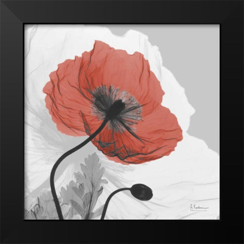 Poppy Prince Black Modern Wood Framed Art Print by Koetsier, Albert