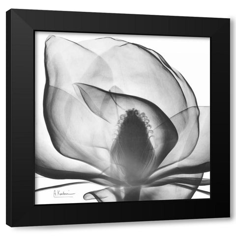 Magnolia A43 Black Modern Wood Framed Art Print with Double Matting by Koetsier, Albert