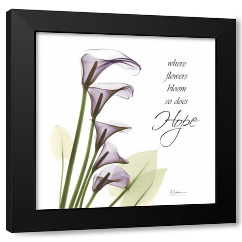 Swaying Callas - Hope Black Modern Wood Framed Art Print by Koetsier, Albert