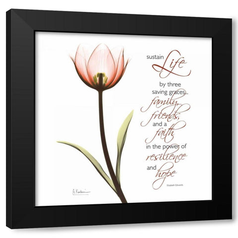 Swaying Tulip Pink - Life Black Modern Wood Framed Art Print with Double Matting by Koetsier, Albert