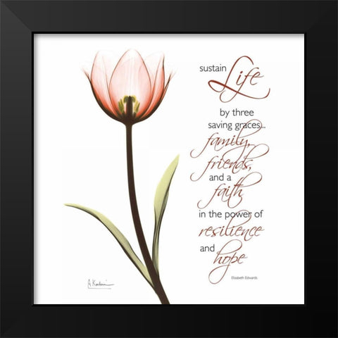 Swaying Tulip Pink - Life Black Modern Wood Framed Art Print by Koetsier, Albert