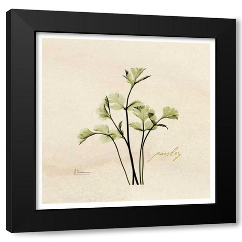 Parsley in Bloom Black Modern Wood Framed Art Print with Double Matting by Koetsier, Albert