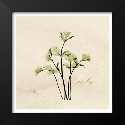 Parsley in Bloom Black Modern Wood Framed Art Print by Koetsier, Albert