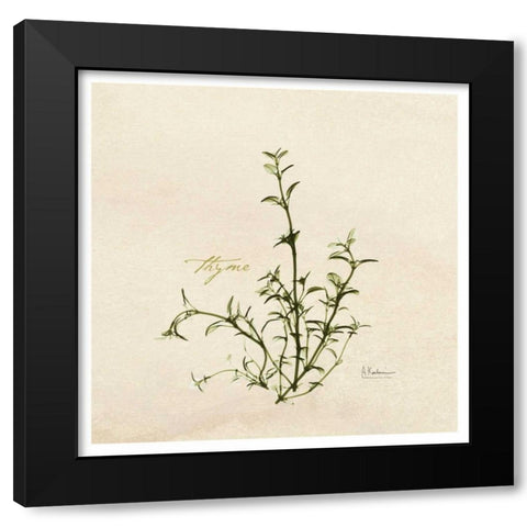 Thyme in Bloom Black Modern Wood Framed Art Print by Koetsier, Albert