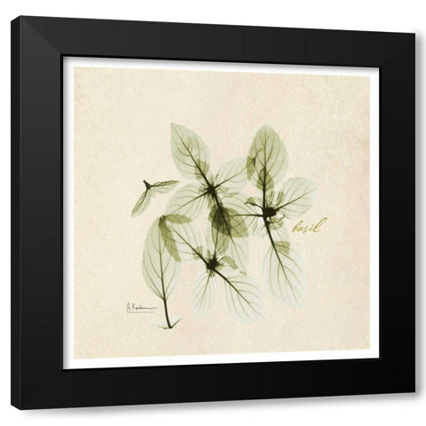 Basil in Bloom Black Modern Wood Framed Art Print with Double Matting by Koetsier, Albert