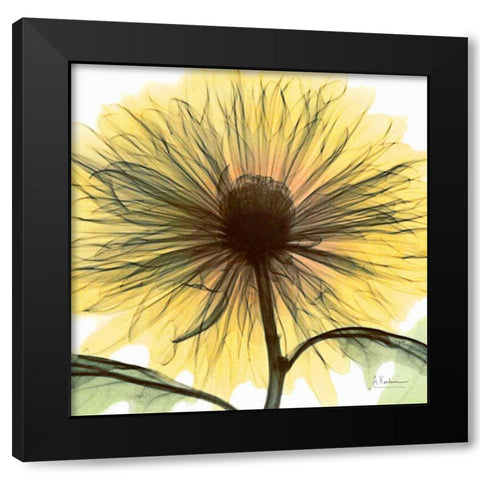 Dream in Yellow Black Modern Wood Framed Art Print by Koetsier, Albert