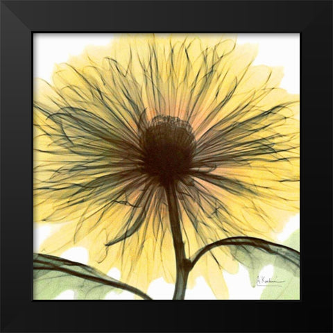 Dream in Yellow Black Modern Wood Framed Art Print by Koetsier, Albert