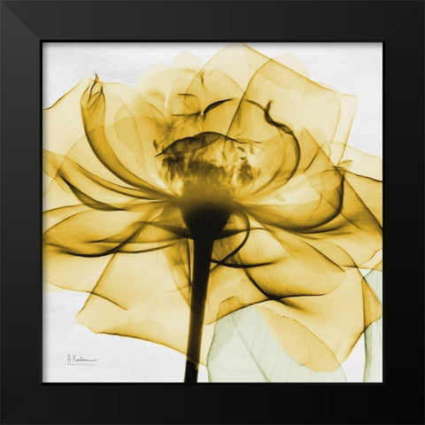 Golden Rose Black Modern Wood Framed Art Print by Koetsier, Albert