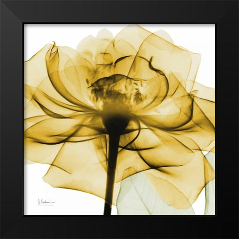 Golden Rose Black Modern Wood Framed Art Print by Koetsier, Albert