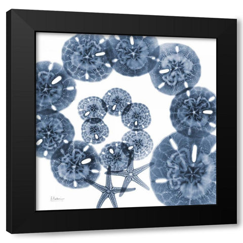 Collage of  Sand Dollars and Starfish Black Modern Wood Framed Art Print by Koetsier, Albert