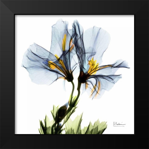 Blue Azalea in Bloom Black Modern Wood Framed Art Print by Koetsier, Albert