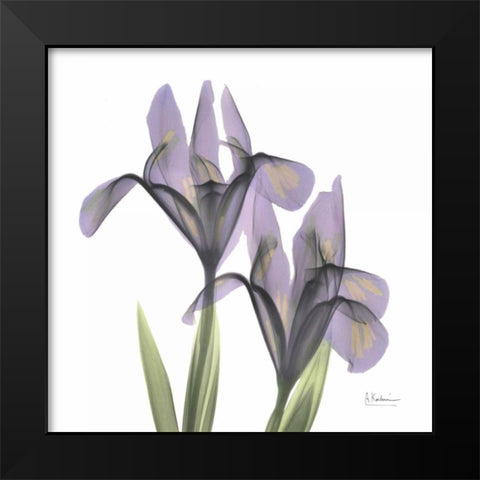 A Gift of Flowers in Purple Black Modern Wood Framed Art Print by Koetsier, Albert