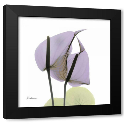 A Gift of Flowers in Lavender Black Modern Wood Framed Art Print with Double Matting by Koetsier, Albert