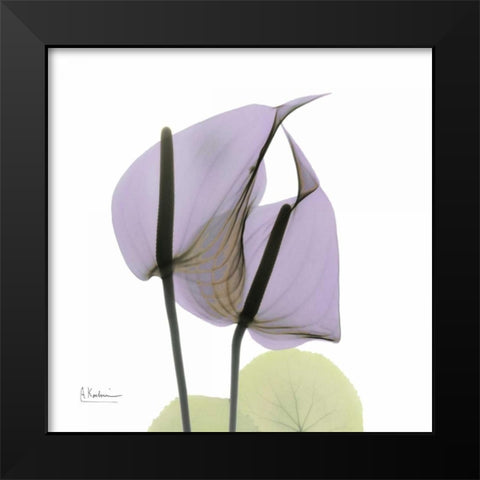 A Gift of Flowers in Lavender Black Modern Wood Framed Art Print by Koetsier, Albert