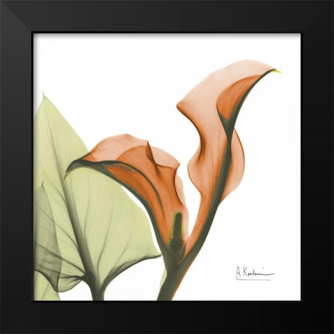 A Gift of Calla Lilies in Orange Black Modern Wood Framed Art Print by Koetsier, Albert