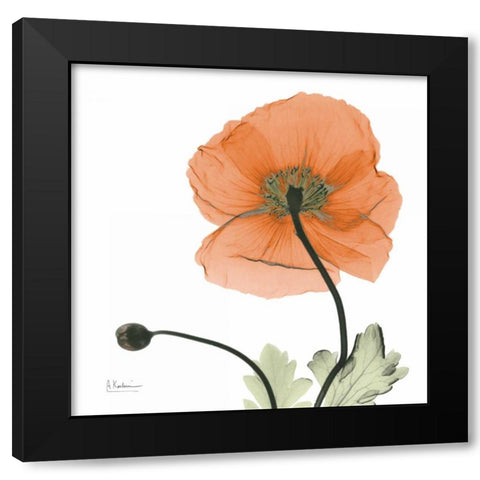 A Gift of Flowers in Orange Black Modern Wood Framed Art Print by Koetsier, Albert