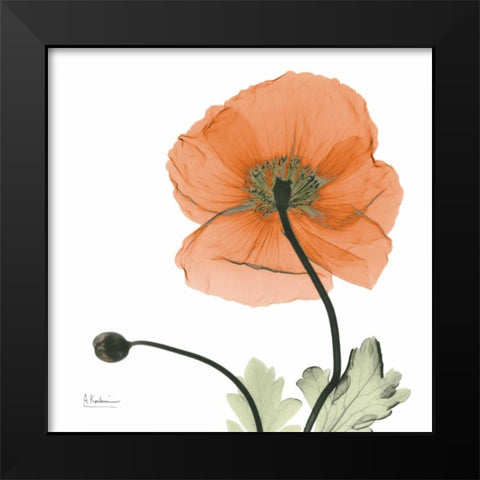 A Gift of Flowers in Orange Black Modern Wood Framed Art Print by Koetsier, Albert